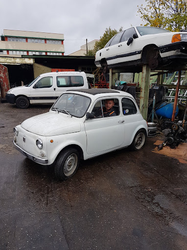 Aperçu des activités de la casse automobile CENTRAL-AUTOS située à SCHOENECK (57350)